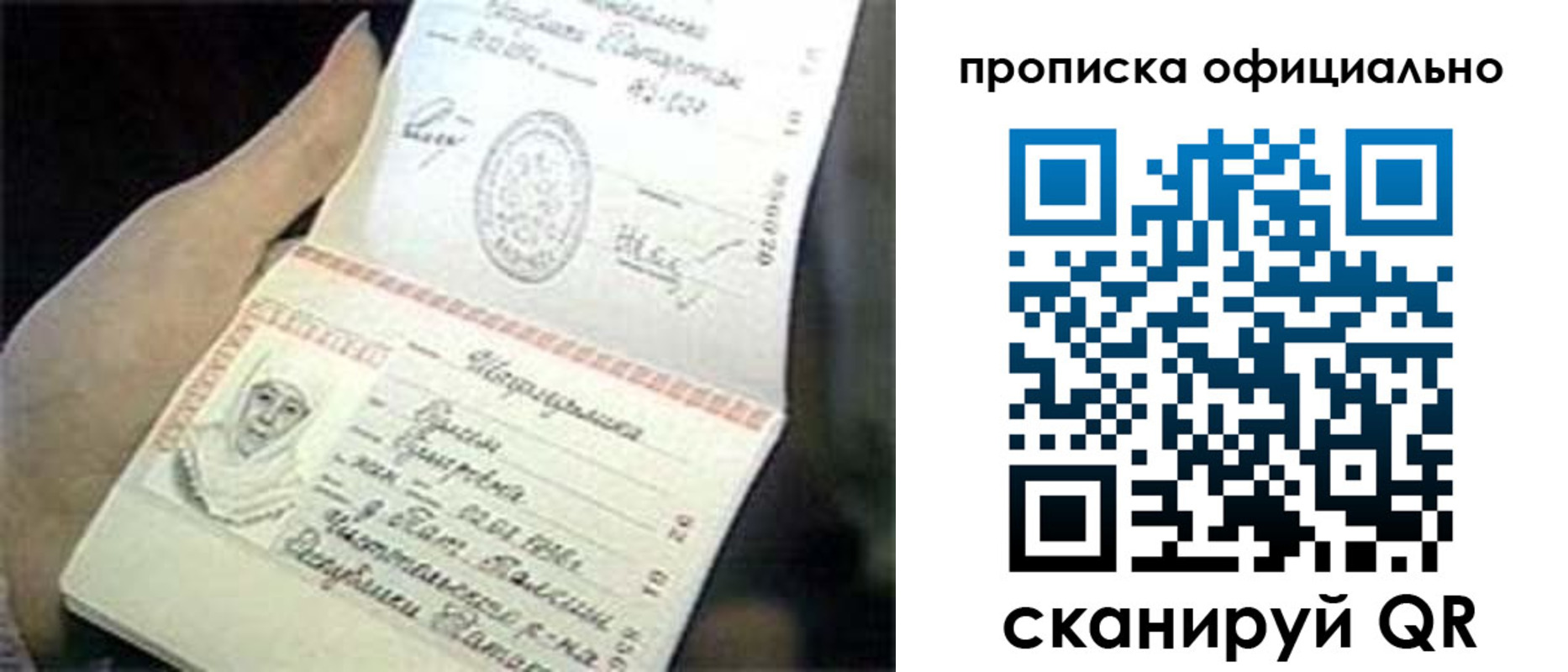 прописка поиск в Дальнегорске